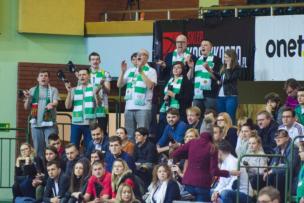 Puchar Polski: Trefl Sopot - Miasto Szkła Krosno. Fot. Karol Słomka