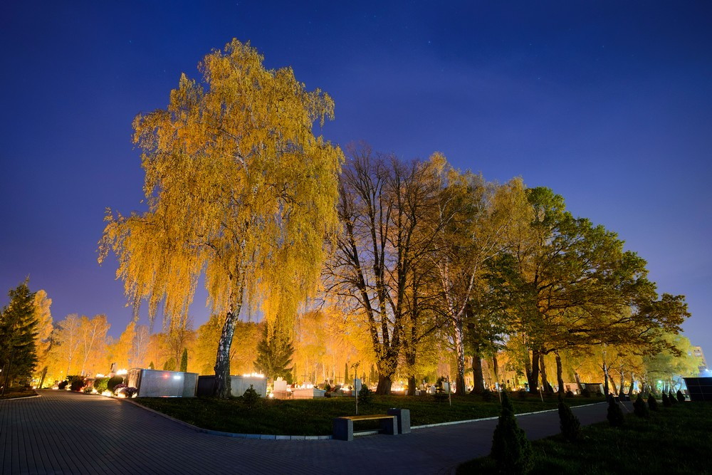 Wszystkich Świętych 2015. Fot. Łukasz Jaracz