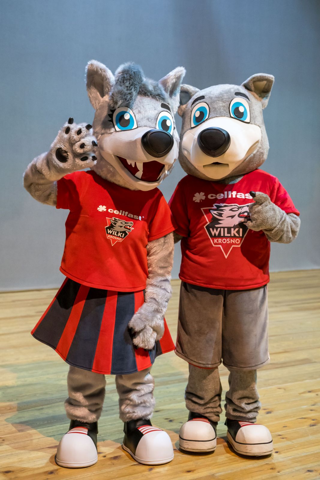 Prezentacja teamu Cellfast Wilki Krosno 2025!