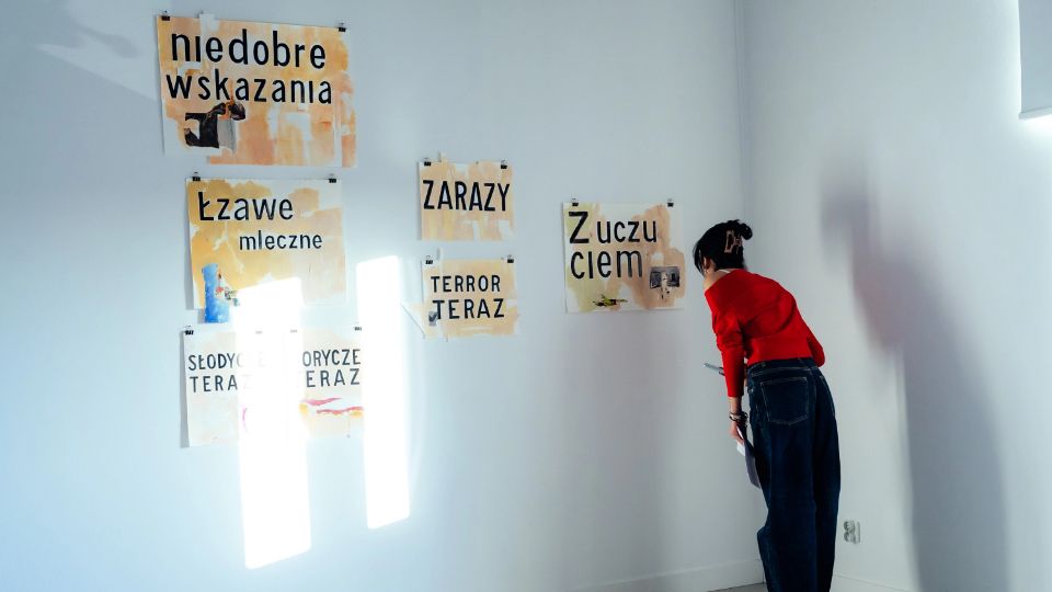 Program edukacyjny do wystawy 