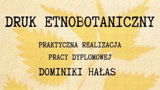Światło, rośliny i ludowe wierzenia. Niezwykła wystawa antotypii w Krośnie