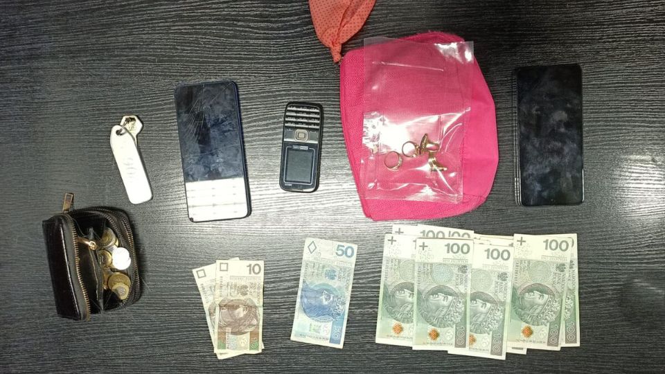 18-latka z Czech zatrzymana po oszustwie na Podkarpaciu. Spędzi trzy miesiące w areszcie