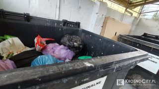 Zaostrzenie kontroli segregacji odpadów w Krośnie. Mieszkańcom spółdzielni grożą surowe kary finansowe