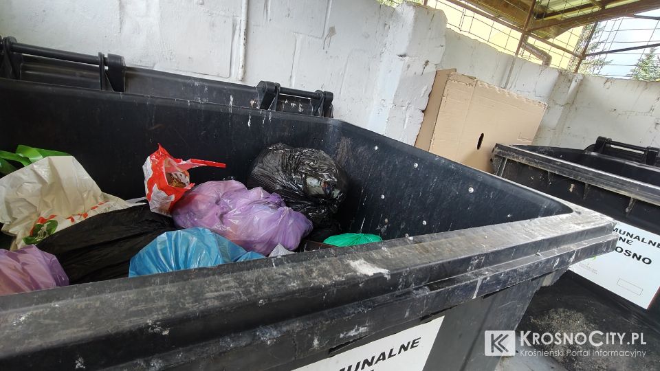 Zaostrzenie kontroli segregacji odpadów w Krośnie. Mieszkańcom spółdzielni grożą surowe kary finansowe