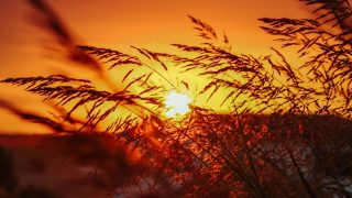 Znów dmuchnie afrykańskim upałem. W środku tygodnia tropikalne noce, w dzień do 36°C
