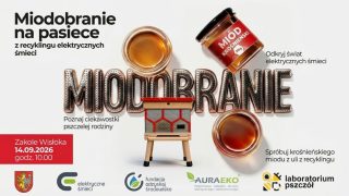 Krośnieński miód z pralek? Uroczyste miodobranie w niezwykłej pasiece
