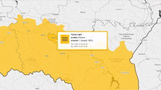 Alert meteo: gęsta mgła w regionie