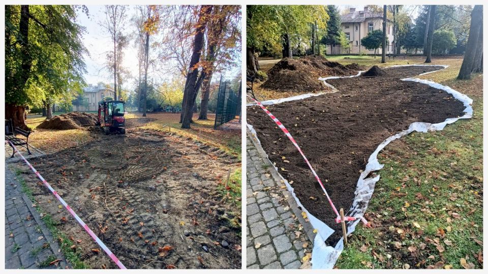 Rusza budowa ogrodu deszczowego w Ogródku Jordanowskim przy ul. Grodzkiej
