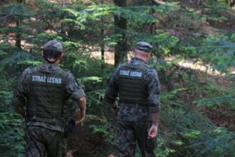 Ruszyła ogólnopolska akcja Straży Leśnej „Stroisz 26”. Leśnicy kontrolują lasy i punkty sprzedaży